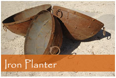 Iron planters