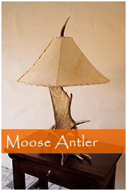 Moose antler lamp from Salsa Trading Sonoma CA