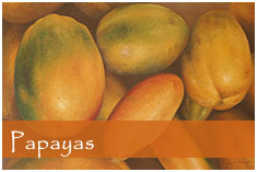 Painting of Papayas
